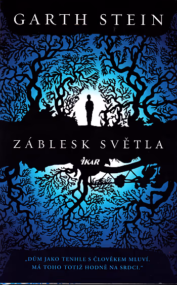 Záblesk světla